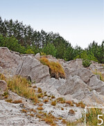 5 Wind und Regen formen aus den Dünen skurrile, unwirkliche Skulpturen.