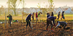 Pflanzaktion der Fortbildungsreihe LANDSCHAFT ANPACKEN des LPV Mittelfranken im Bürgerwald Herrieden (Bayern)