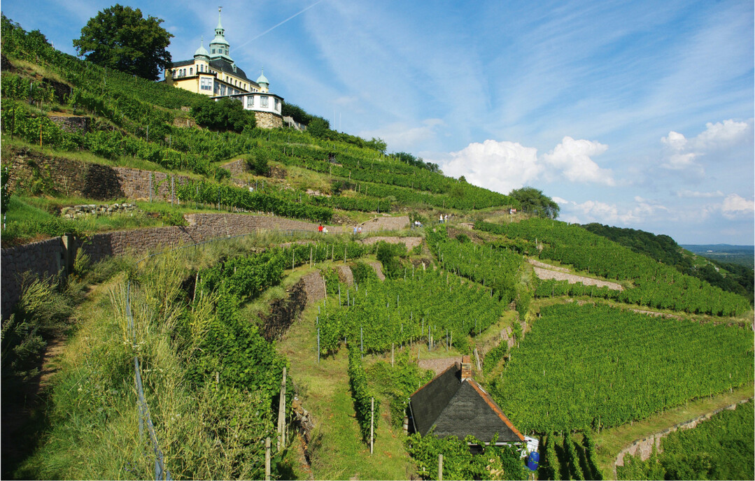  Bild 1: Lnitz-Weinberge in Radebeul bei Dresden. Die kleinteilige, terrassierte, noch heute berwiegend in Handarbeit bewirtschaftete Weinberglandschaft ist Trger vielfltiger versorgender, regulierender und insbesondere kultureller kosystemleistungen. 