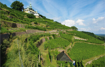  Bild 1: Lnitz-Weinberge in Radebeul bei Dresden. Die kleinteilige, terrassierte, noch heute berwiegend in Handarbeit bewirtschaftete Weinberglandschaft ist Trger vielfltiger versorgender, regulierender und insbesondere kultureller kosystemleistungen. 