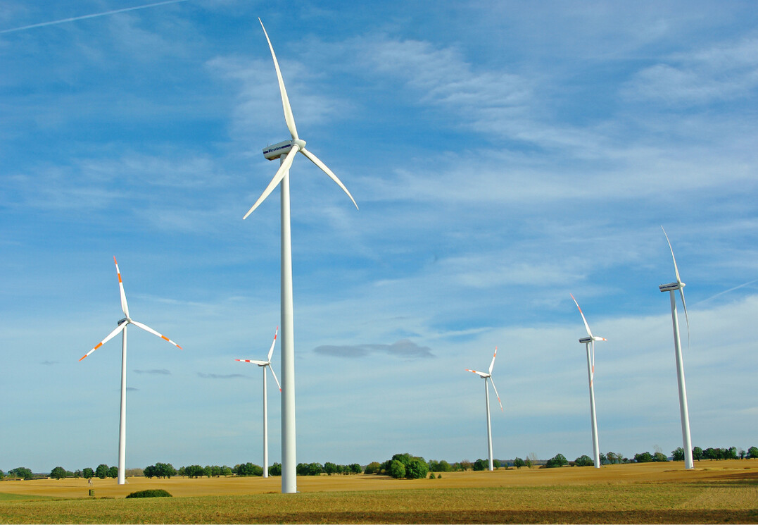  Bild 3: Neue Energielandschaften mssen sorgsam geplant werden, denn sie beeinflussen Landschaftsbild und Artenschutz erheblich. 