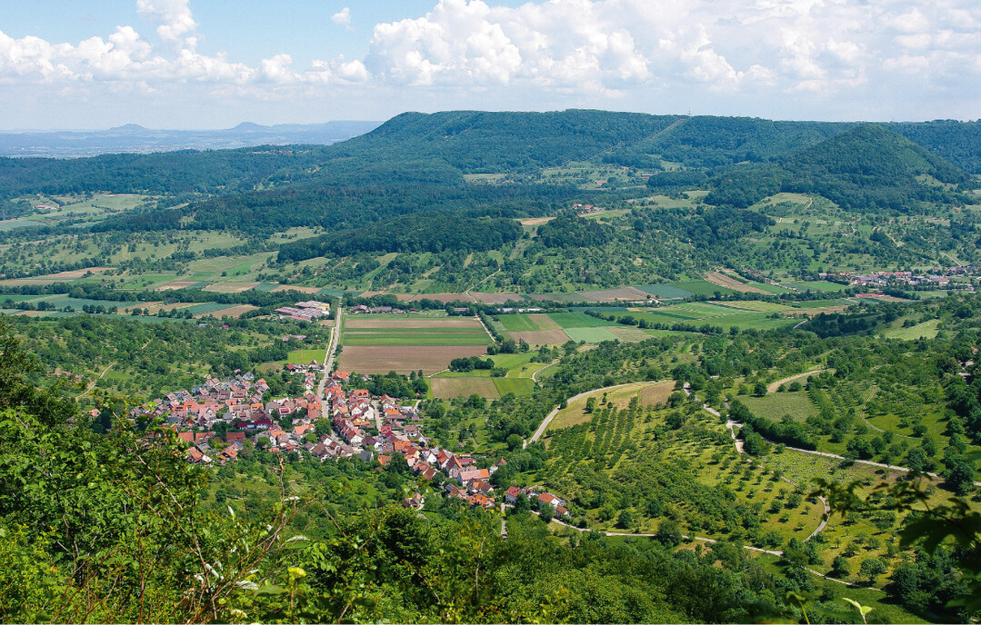  Bild 6: Harmonische Kulturlandschaft bei Hepsisau in der Schwbischen Alb mit ausgedehnten Streuobstwiesen. Sie besitzt eine hohe Wertigkeit insbesondere fr Biodiversitt und Landschaftsbild. 