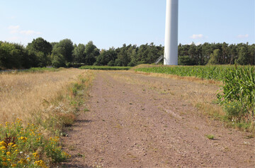  Abb. 1: Durch den Anlagenbau neu eingebrachte zustzliche Strukturen in Form von Schotterflchen und Ruderalstrukturen. Solche Strukturen im Bereich von Windkraftanlagen bieten ideale Bedingungen fr Greifvgel zur Jagd. Foto: Matthias Schreiber, 13.07.2018, Wittenfelde, Stadt Bramsche. 