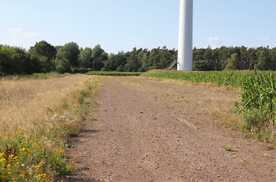  Abb. 1: Durch den Anlagenbau neu eingebrachte zustzliche Strukturen in Form von Schotterflchen und Ruderalstrukturen. Solche Strukturen im Bereich von Windkraftanlagen bieten ideale Bedingungen fr Greifvgel zur Jagd. Foto: Matthias Schreiber, 13.07.2018, Wittenfelde, Stadt Bramsche. 