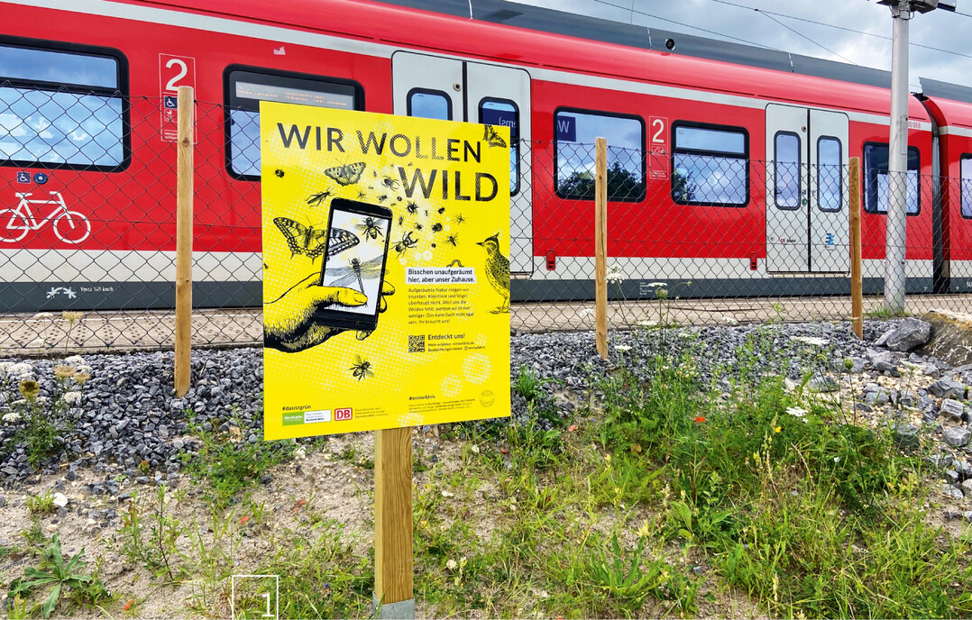 1 #miniwildnis-Fläche an einer Bahnlinie.