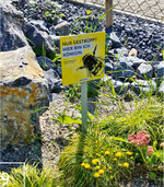 9 Kleine Schilder mit auffälligen Sprüchen zeigen den Menschen, dass die „Unordnung“ hier gewollt ist und gebraucht wird.