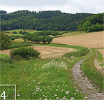 4 Strukturreiche Landschaft bietet Lebensraum für zahlreiche insekten und Vögel.