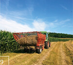 9 Um den Standort auszumagern, muss das Mahdgut abgefahren werden.