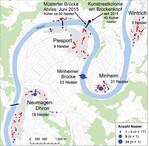 <strong>Abb. 1: </strong>Untersuchungsgebiet und Anzahl der besetzten Nester in 2015. Blaue Kreise: Mehlschwalbenkolonien, rote Kreise: anthropogene Vergrämungsmaßnahmen gegen die Ansiedlung von Schwalben am Gebäude (eigene Daten). Study area and number of occupied nests in 2015. Blue circles: Breeding colonies of House Martins, red circles: anthropogenic defense measures against settlement of House Martins on the building.