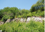 <strong>Abb. 5: </strong>Trockenmauer (Larvalhabitat des Segelfalters). © Nico Flügel Dry stone wall (larval habitat of Scarce Swallowtail).