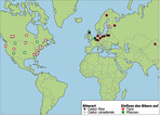 Abb. 2: Durchführungsorte der 53 wissenschaftlichen Studien, die in der vorliegenden Metaanalyse zum den Einfluss der Bibertätigkeit auf die Artenvielfalt ausgewertet wurden. Einige der Punkte überlappen sich vollständig, weil mehrere Studien am selben Ort stattfanden.