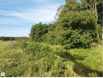 Abb. 3: Abschnitt Linstow-Dobbin im Sommer 2016, vier Jahre nach der Renaturierung. Etablierung von aquatischer und amphibischer Vegetation, Ausbildung einer Wasserwechselzone und eines Entwicklungskorridors.