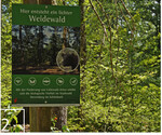 2 Schilder an den wesentlichen Wegeachsen informieren die Waldbesucher.