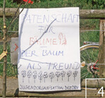 4 Mit Baumpatenschaften engagieren sich die Jugendlichen gegen Fällungen.