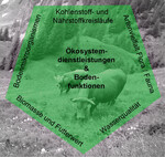 Abb. 4: Schema der verschiedenen Forschungsthemen innerhalb des Brunnenkopf-Wiederbeweidungs-Projektes.