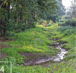 4 Gewässerrenaturierung nach Fertigstellung der Maßnahmen