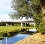 5 Der erste große Auftrag: eine faunistische Planungsraumanalyse an einer Autobahnbrücke der A1.