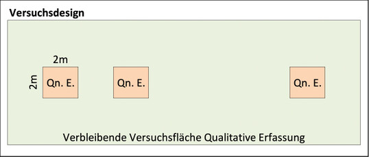 Abb. 1: Versuchsdesign der Kartierung, Qn. E. = quantitative Erfassung, Gre der UF 4 m2.