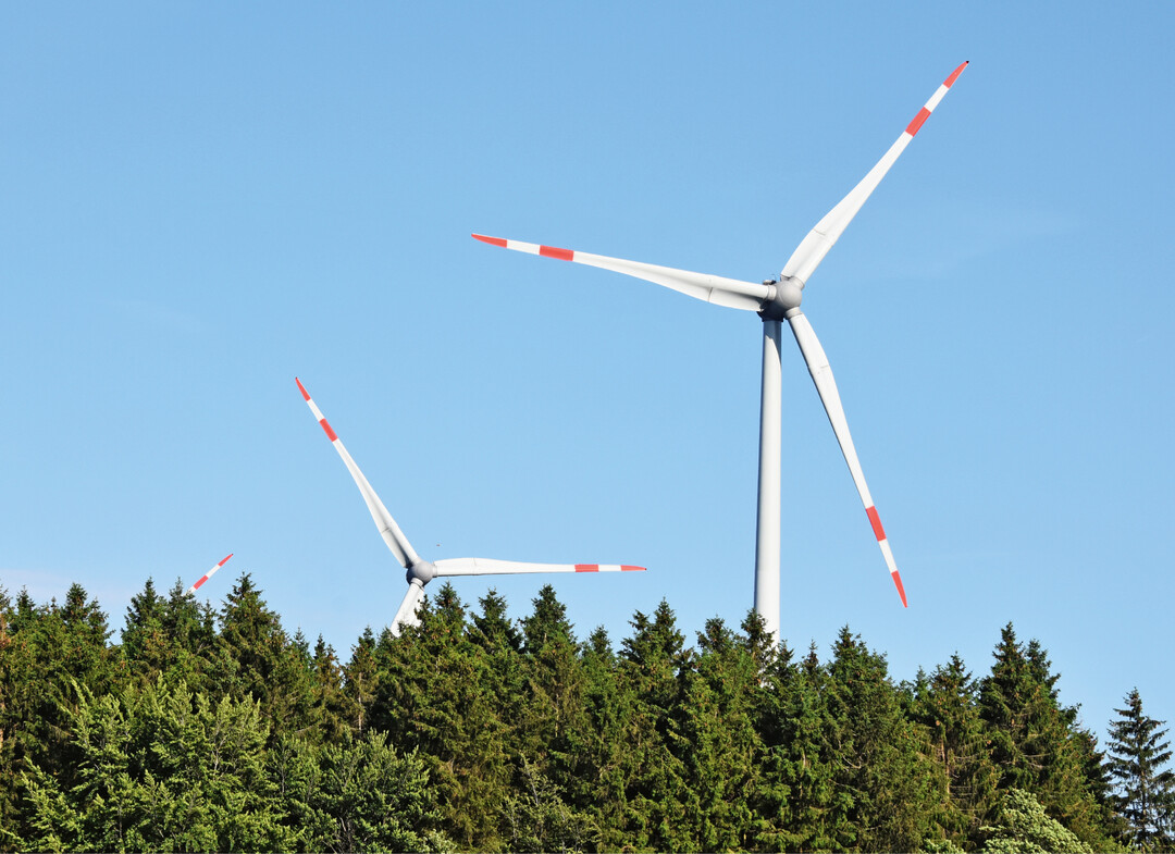  Windrder auf Waldflchen, wie hier in der Eifel, sind in Thringen pauschal verboten. 