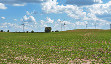 Foto1: Uckermrkische Landschaft mit Windenergieanlagen Foto: Caroline Fischer (2021)