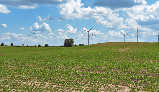 Foto1: Uckermrkische Landschaft mit Windenergieanlagen Foto: Caroline Fischer (2021)