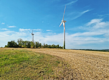 Abb.1: Alte Windenergieanlagen, die ohne Betriebssteuerung operieren und daher eine hohe Zahl von Fledermausschlagopfern generieren (Voigt et al. 2022 a).