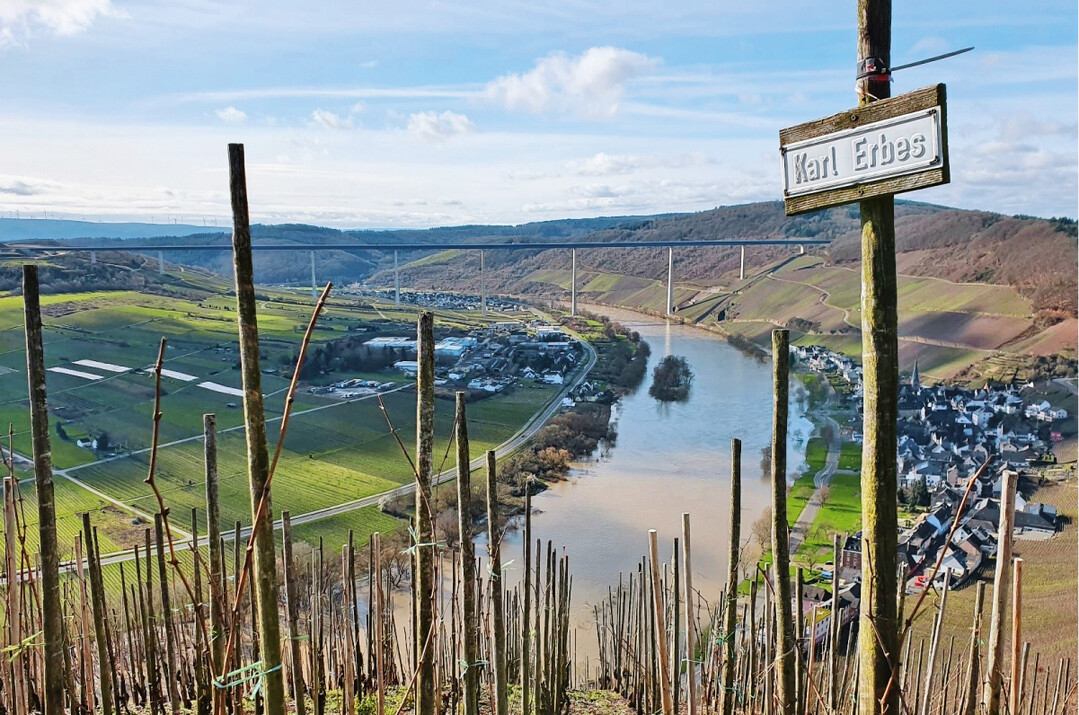 Der nach ber 30 Jahren Planungszeit 2019 fr den Verkehr freigegebene Hochmoselbergang von der Premiumweinlage rziger Wrzgarten aus betrachtet.
