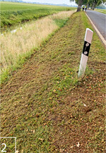 2) Das Mähbild nach dem Einsatz eines herkömmlichen Mähkopfs von Dücker: sauber, aber nicht insektenschonend.