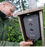 <strong>Abb. 8: </strong>Fotofallen eignen sich hervorragend zum Monitoring von Luchsbeständen. Aufgrund der individuellen Fellmuster können Struktur und Dichte der Luchspopulationen mit räumlichen Fang-Wiederfang-Modellen auch über große Flächen sehr genau bestimmt werden. Photo-trapping is perfectly suited for the monitoring of lynxes. Due to the unique fur pattern of the individual lynxes the structure and density of the lynx population can be identified with great accuracy even over very large areas.
