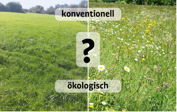 Abb. 1: Konventionell oder kologisch? Die Frage ist nicht immer einfach zu beantworten.