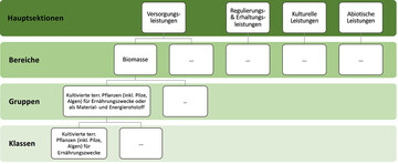 Abb. 1 : Die hierarchische Struktur von CICES 5.1, adaptiert nach Haines-Young & Potschin (2018: 9).