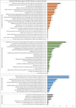 Abb. 3 : Anzahl der ÖSL-Nennungen (nach ÖSL-Klassen) im urbanen Kontext.