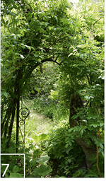 7 Bögen mit Kletterpflanzen strukturieren den Gartenraum.