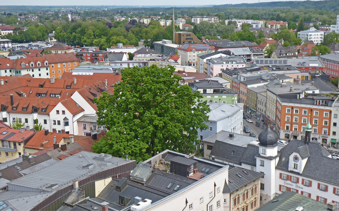  Stadtbume sind ein lokales ffentliches Gut und erhhen die Lebensqualitt. 