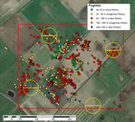 Abb. 1: Flughöhe und räumliche Verteilung der 1.251 Messpunkte singender Feldlerchen in einem Beobachtungsgebiet im Landkreis Osnabrück.
