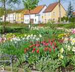 3 Frühjahrsaspekt in den städtischen Grünflächen