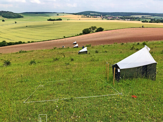  1  Malaisefallen-Transekt am Standort Hofberg (Thringen) 