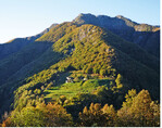 Abb. 4 : Eine „Paesaggio dei monti“ (Maiensässlandschaft) mit Relikten einer Terrassenlandschaft in der Region des geplanten Nationalparks Locarnese. © Gery Ryter A paesaggio dei monti, consisting of temporarily inhabited residential buildings and alpine pastures, with remains of a terraced landscape in the area of the planned Locarnese National Park.