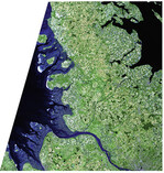 Das Große Nordseeästuar wurde zum Gewässertyp des Jahres gewählt.