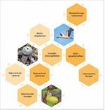 Abb. 2: Netzwerkmodell der relevanten Akteure.