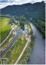 10 Flussrenaturierungen wie an der Mur zählen zu den wichtigen großen Projekten von freiland. (9) Aufweitung Gosdorf an der Grenzmur, (10) Aufweitung Lässer Au an der Oberen Mur