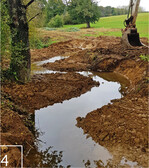 4 Auch Fließgewässerrenaturierungen zählen zum Portfolio.