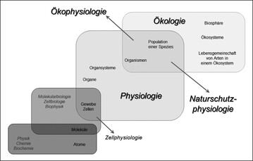 Abb.1: kophysiologie und Naturschutzphysiologie untersuchen die Fragestellungen, die sich im berlappungsbereich von Physiologie und kologie ergeben (nhere Erluterungen im Text).