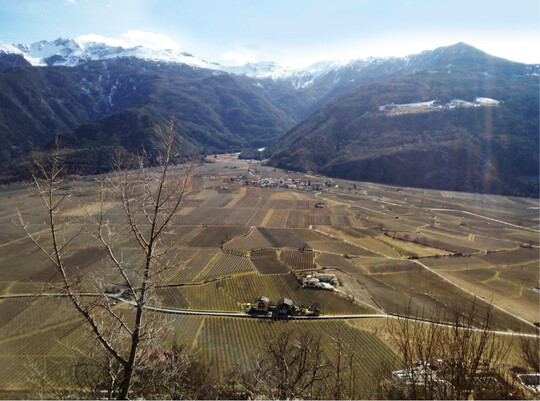 Abb.1: Die norditalienische, in den Alpen gelegene Provinz Bozen-Sdtirol im Spannungsfeld von intensiver Landnutzung und traditionellen Kulturlandschaftselementen; hier ein Ausschnitt des Vinschgau mit intensiven Apfelplantagen im Tal sowie Wldern und Almwirtschaft in den Berghanglagen (aus Zerbe 2022).