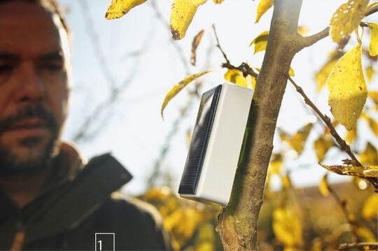 1) Ein unaufflliger Sensor am Baum sendet Daten zu dessen Vitalitt.
