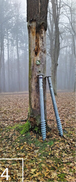 4 Die beiden etwa 1,7 m langen Schraubfundamente des Würzburger Baumtorsos kurz vor dem Eindrehen in den Boden.