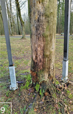 9) Eingebautes Carbon-Exoskelett mit den Anschlussstellen im Boden.