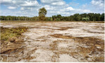 2 Zur Renaturierung wurden die Heideflächen im Zwillbrocker Venn großflächig abgeplaggt.