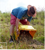 4 Knoblauchkröten-Aussetzaktion des NABU in den Rieselfeldern Windel bei Bielefeld