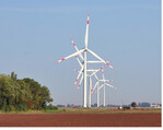 Windenergieanlagen in der Nähe frisch bearbeiteter landwirtschaftlicher Flächen stellen eine Gefahr für brütende Greifvögel dar.